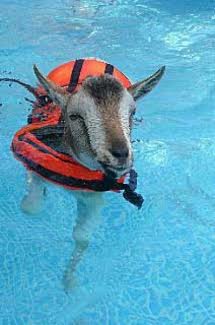 0981d834-7ea6-40d7-b413-1a63fdc5251b