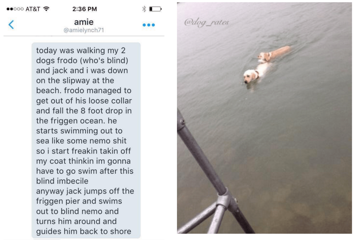 Screen Shot 2016-06-28 at 22.16.46